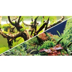 Akvariebaggrund Wood Island / Green secret (50 cm høj) 120 cm