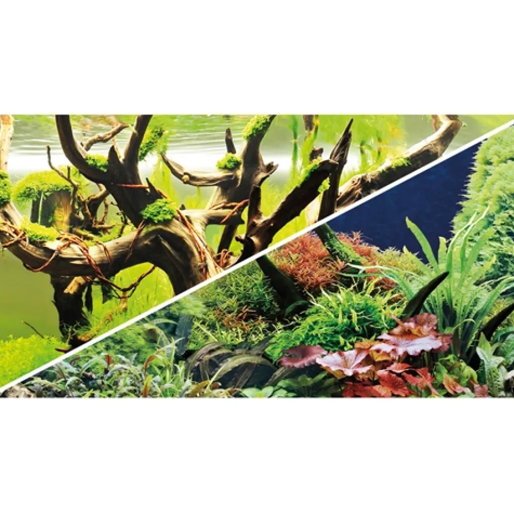 Akvariebaggrund Wood Island / Green secret (50 cm høj) 120 cm