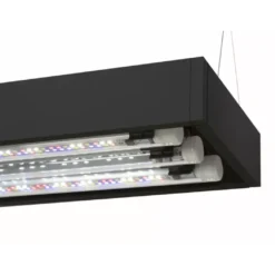 AquaEl Akvarie og Lampe Ultra Scape 60 Forest