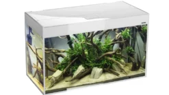 AquaEl Glossy akvarie i Hvid 120 cm 260 Liter