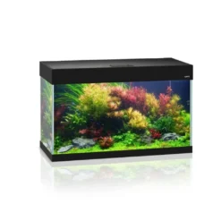AquaEl Optiset 125 Sort