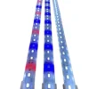AquaLight LED Lampe RWB 50 cm 10 watt (dæmpbar)