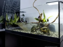 Aqua Terrarium 80x35x30,5 cm til Sumpskildpadder
