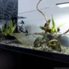 Aqua Terrarium 100x35x40,5 cm til Sumpskildpadder