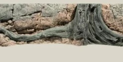 Back to Nature Amazonas 150 cm