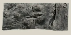 Back to Nature Orinoco Juwel 100x42 cm