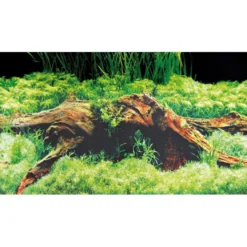 Baggrund til akvarium Beplantet og mos (30 cm høj) 60 cm