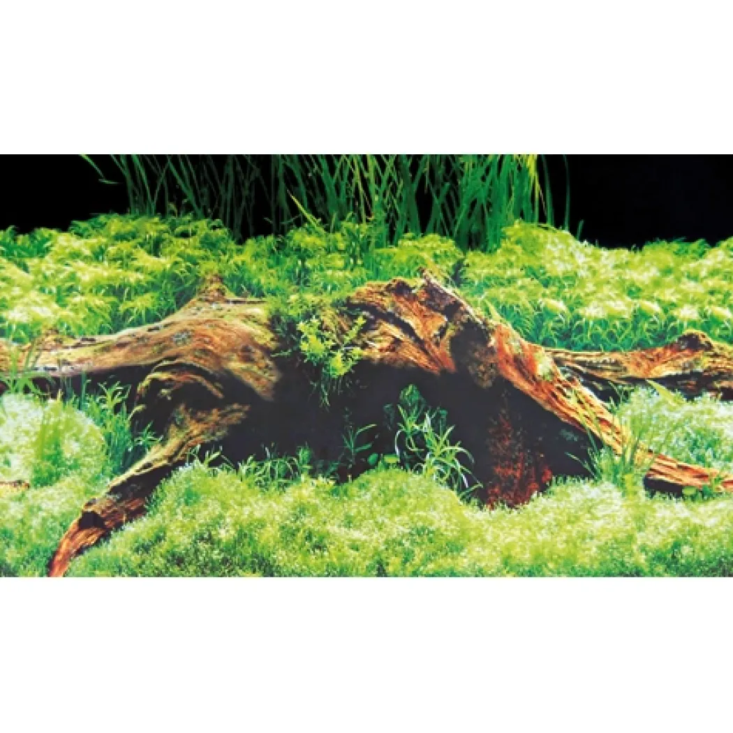 Baggrund til akvarium Beplantet og mos (50 cm høj) 100 cm