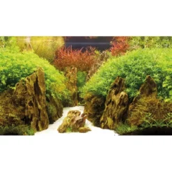Baggrund til akvarium Canyon og Woodland (30 cm høj) 60 cm