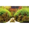 Baggrund til akvarium Canyon og Woodland (50 cm høj) 100 cm