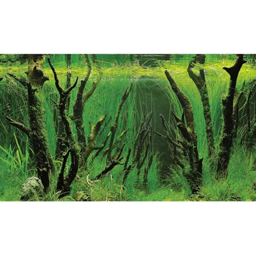 Baggrund til akvarium Canyon og Woodland (50 cm høj) 100 cm