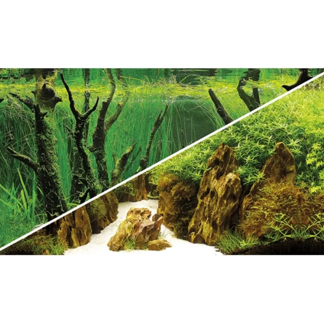Baggrund til akvarium Canyon og Woodland (50 cm høj) 100 cm