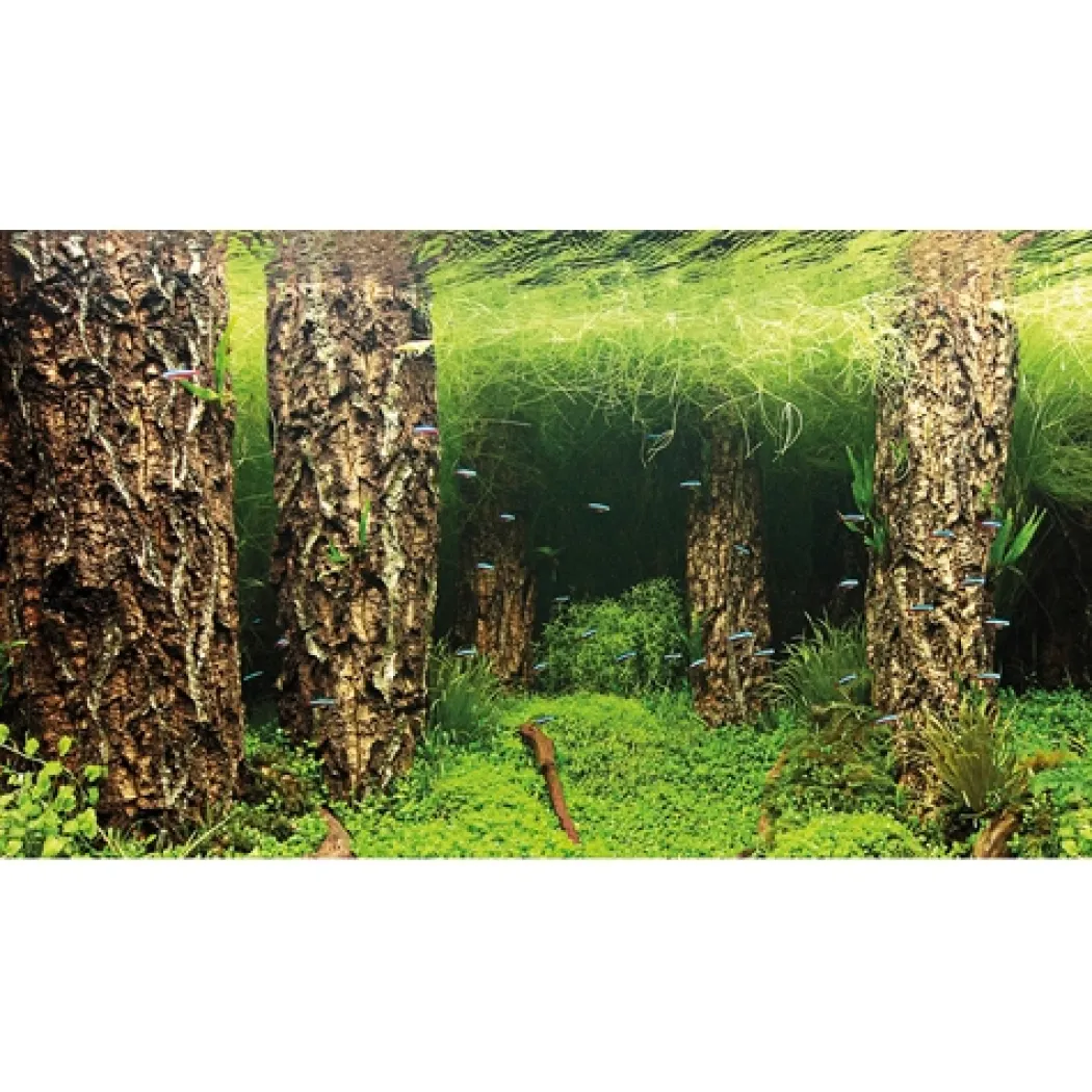 Baggrund til akvarium Scapers Hill og forest (50 cm høj) 100 cm