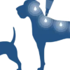 Bayvantic Vet hund 10-25 kg 4 x 2,5 ml