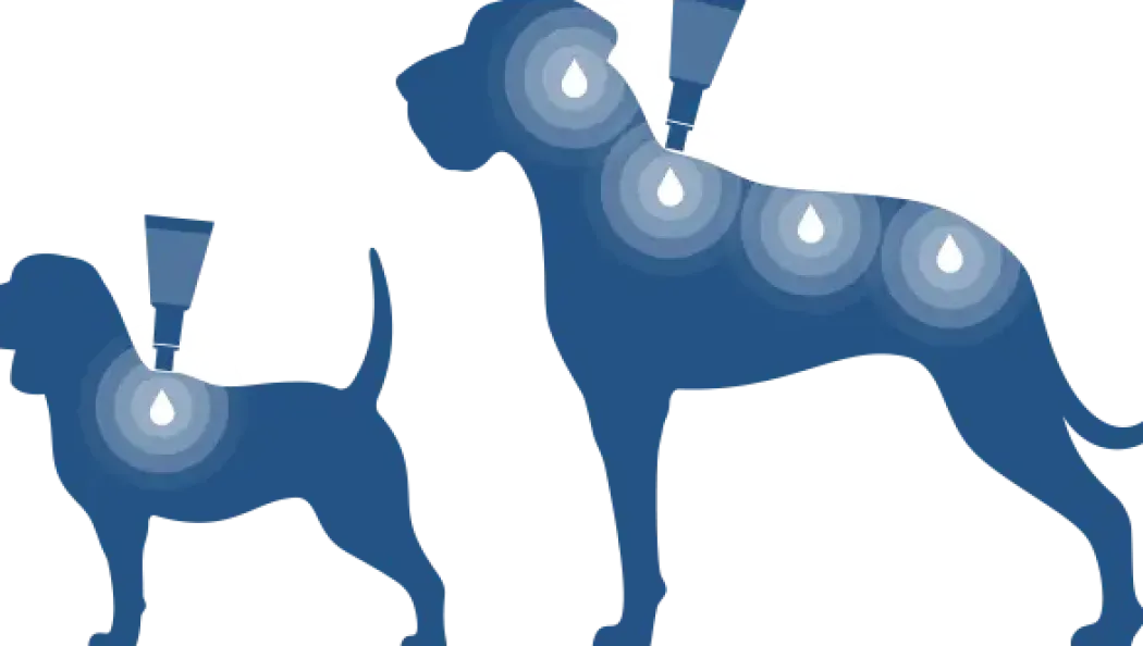 Bayvantic Vet hund 10-25 kg 4 x 2,5 ml