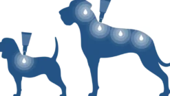 Bayvantic Vet hund 25-40 kg 4 x 4,0 ml