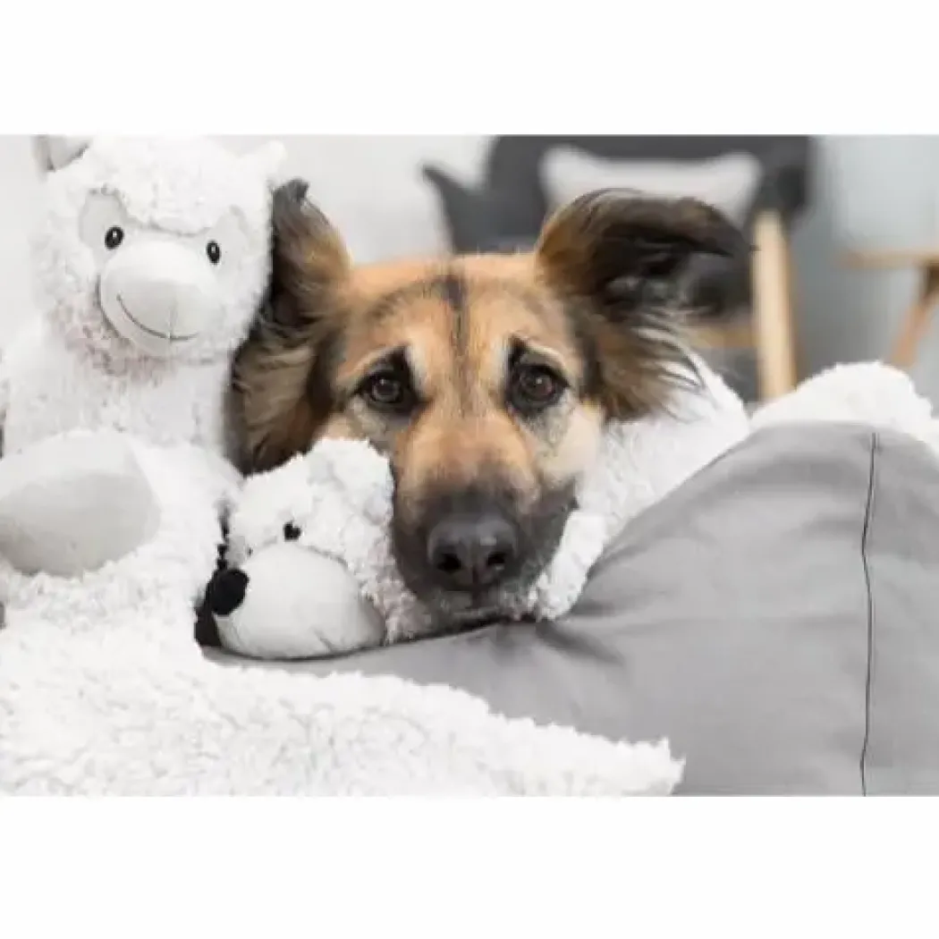 Be Eco Æsel Elenor - bamse i genbrugsplys til hunde