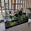 Blau Glasakvarium CUBIC Aquascaping Shallow 44 62x36x20 cm