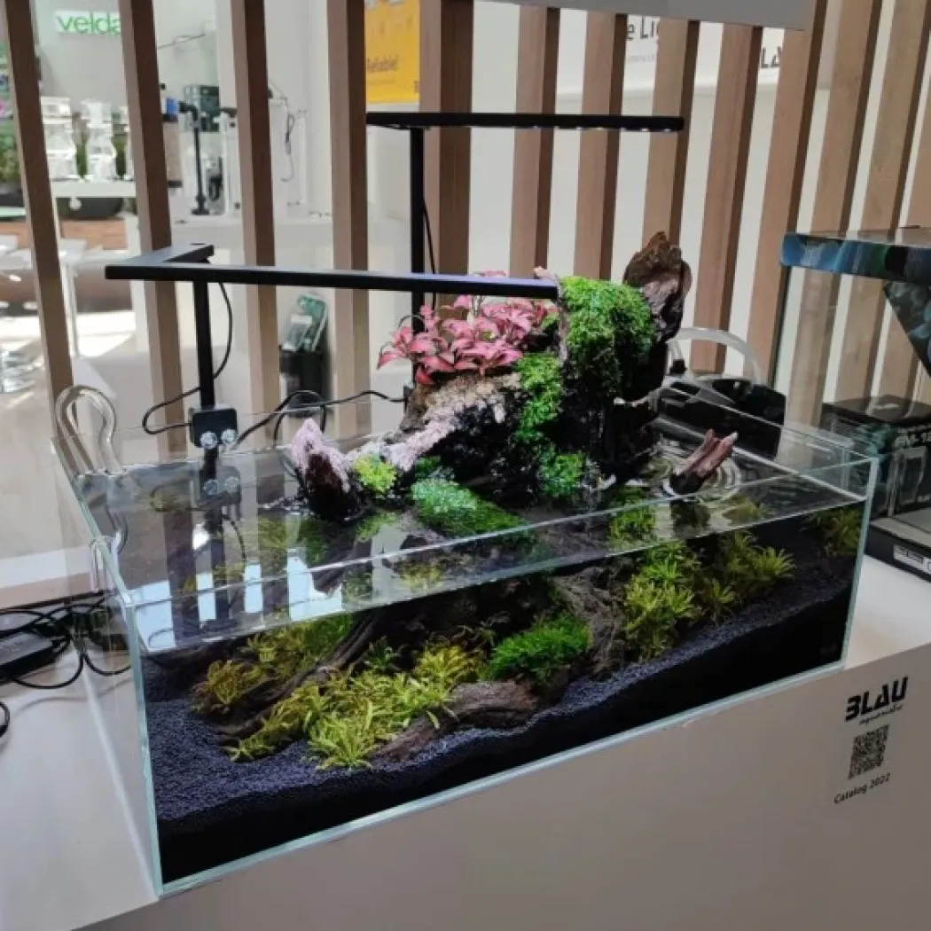 Blau Glasakvarium CUBIC Aquascaping Shallow 44 62x36x20 cm