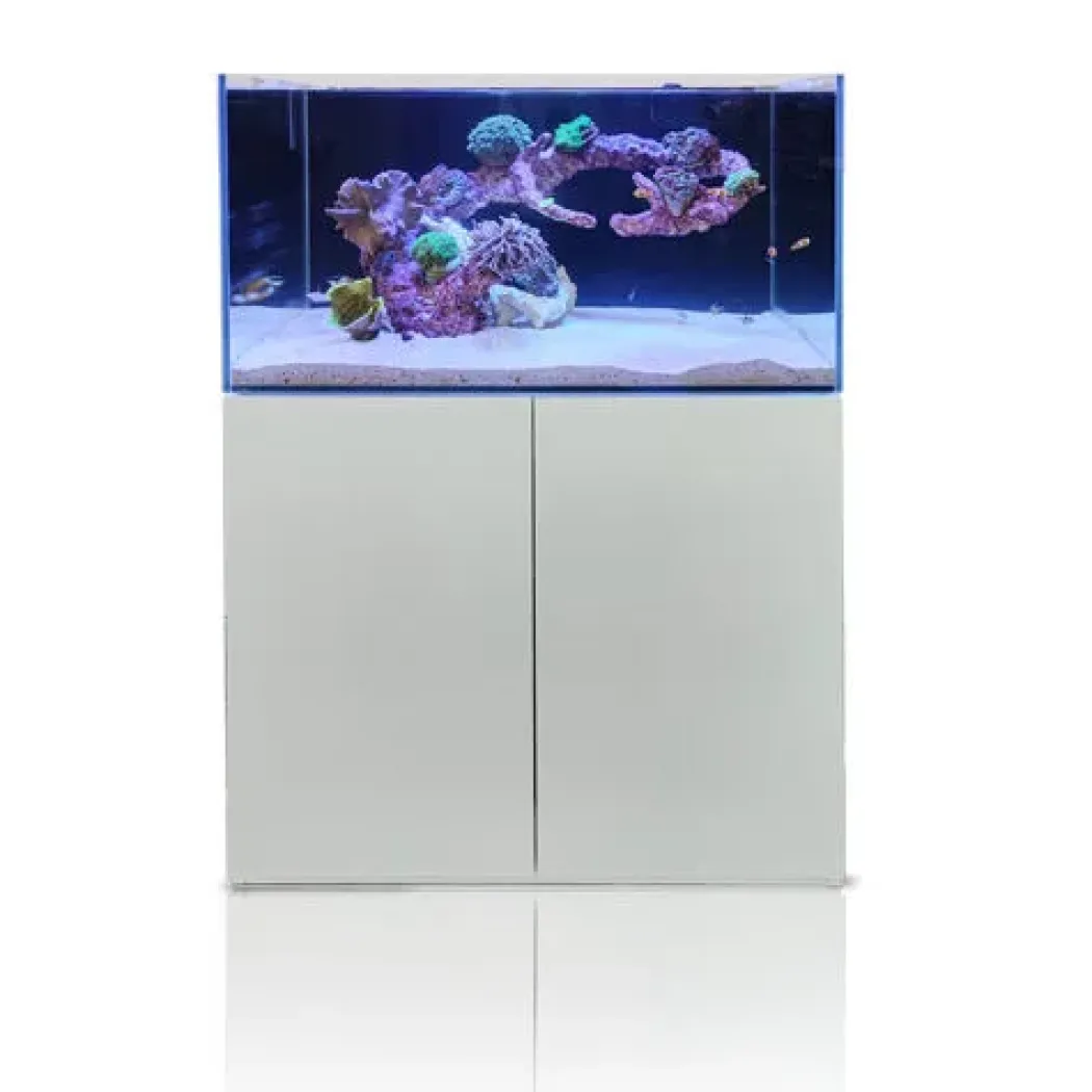 Blau Gran Cubic Super Reef 92 White 276 liters Saltvandsakvarium