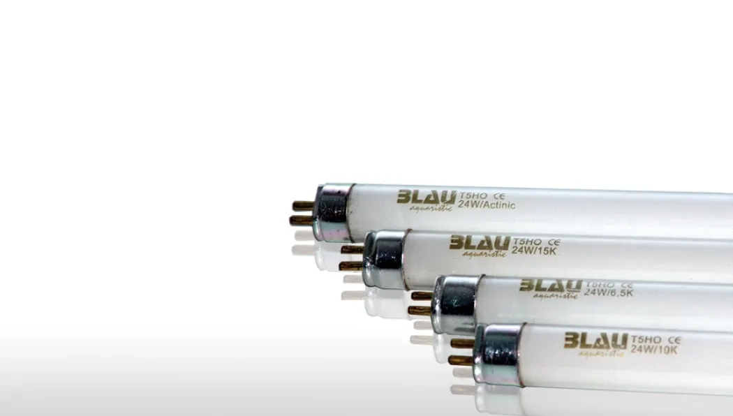 Blau Lysstofrør T5 54W 6500K