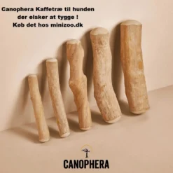 Canophera Kaffetræ XS - naturligt tyggelegetøj til små hunde