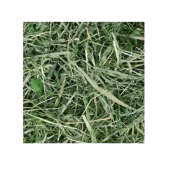 Chipsi Sunshine Timothy Hø 800 g