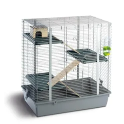 Cody gnaverbur