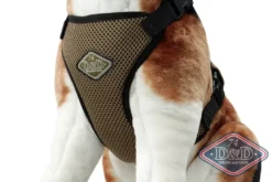 D & D All Season Hundesele L - Hals 50-71 cm livvidde 62-84 cm
