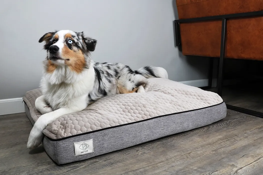 D&D Home Celia ergonomisk hundeseng lille 80 x 60 x 15 cm i taupe