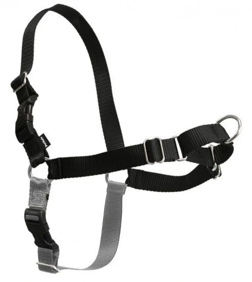 Easy Walk Hundesele Sort M/L - Bryst 35,5-45,5 cm
