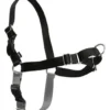 Easy Walk Hundesele Sort S - Bryst 21,5-28 cm