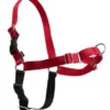 Easy Walk Hundesele S Rød - Bryst 21,5-28 cm