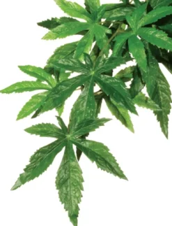 Exo Terra Abutilon lille