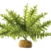 Exo Terra Boston Fern (lille)