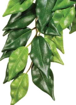 Exo Terra Ficus stor