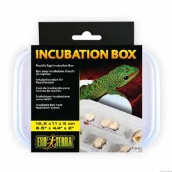 Exo Terra Incubation Box - Sikker rugning af reptilæg