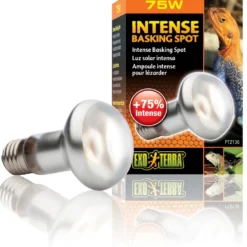 Exo Terra Intense Basking Spot 75 W - Effektiv UVA-varmespot til terrarier