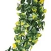 Exo Terra Mandarin stor