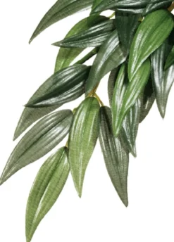 Exo Terra Ruscus lille