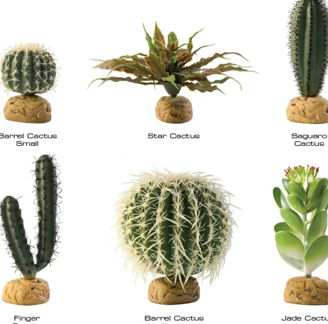 Exo Terra Saguaro kaktus