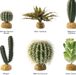 Exo Terra Star Cactus
