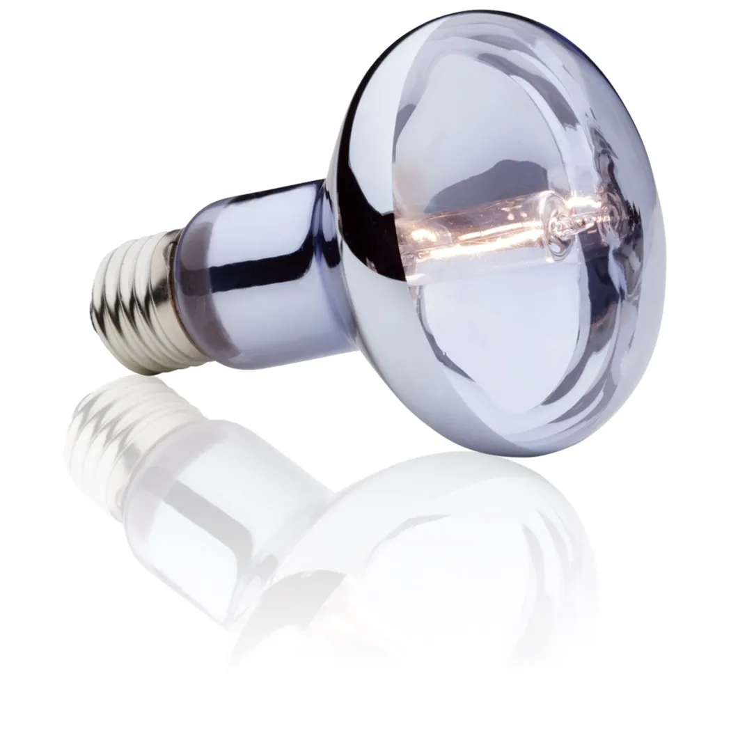 Exo Terra Sun Glo Halogen 75 w