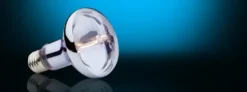 Exo Terra Sun Glo Halogen 150 watt