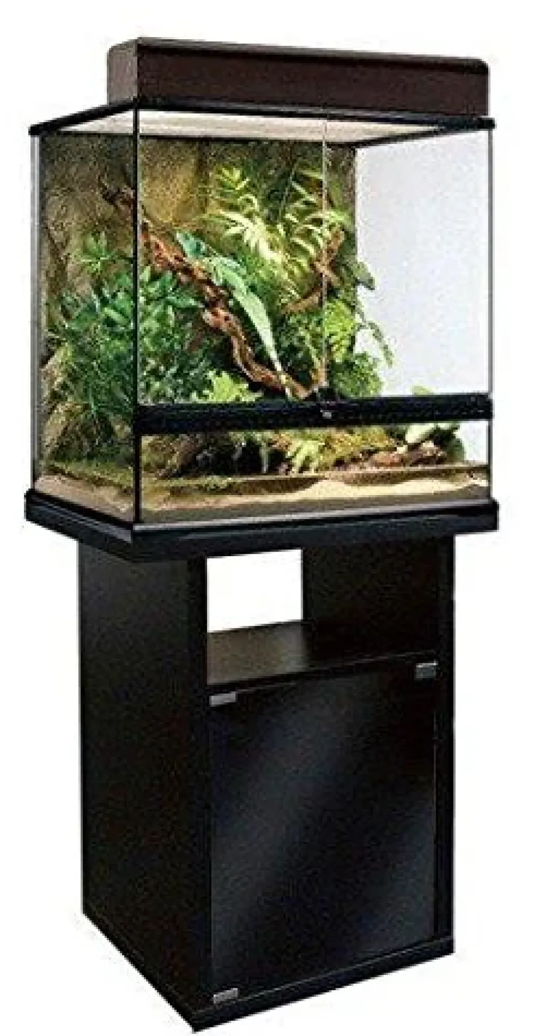 Exo Terra Terrarium Kabinet 60 cm