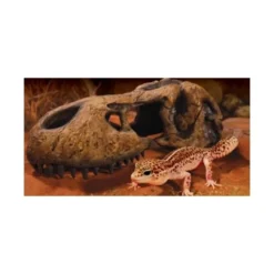 Exo Terra T-REX Kranie