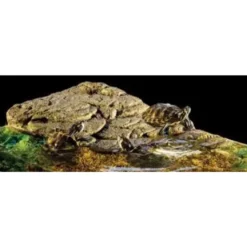 Exo Terra Turtle Bank med magnet stor