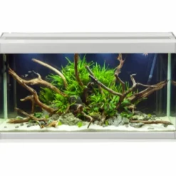 Family Akvarium 70x32x37 cm 80 Liter