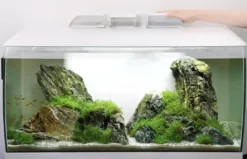 Fluval Flex akvarium 123 Liter Hvid