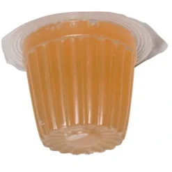 Frugt Jelly 17 g (Beetle Jelly)